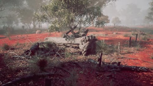 Misty Red Earth Landscape with Sparse Trees
