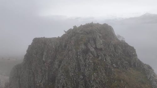 Mountain Goats