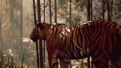 Tigre figé dans une forêt de bambous reniflant et écoutant sa proie