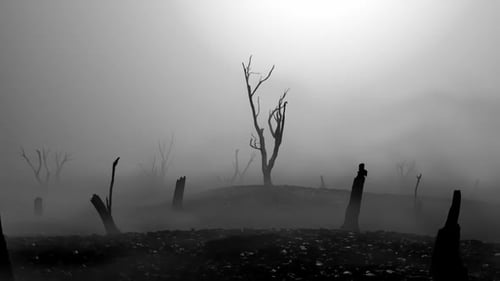 Misty Landscape with Burnt Trees and Covered by Charcoal