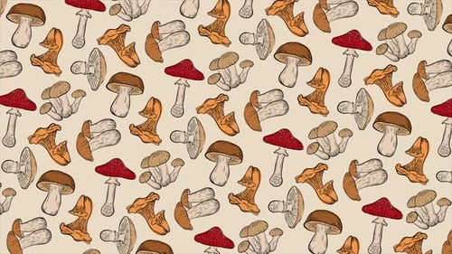 Mushrooms background on a seamless loop