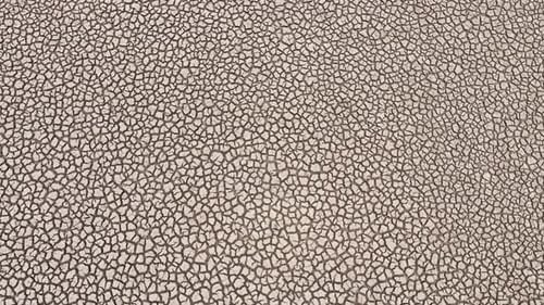 A parched, cracked earth, showcasing the severe effects of drought.