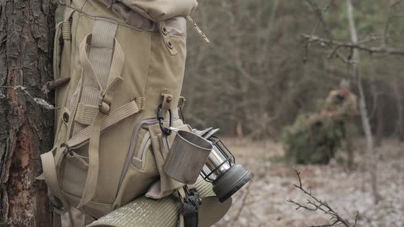 Bushcraft Backpack With Camping Gear Hanging On Tree During Forest ...