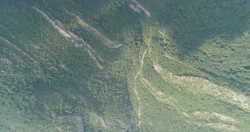 Aerial View of Lush Green Mountain Forest