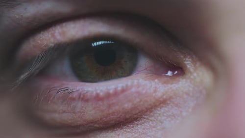 Male eye looking at the camera