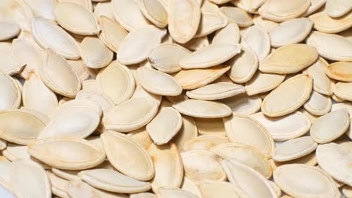 Pumpkin Seeds Isolated on a White Background Top View
