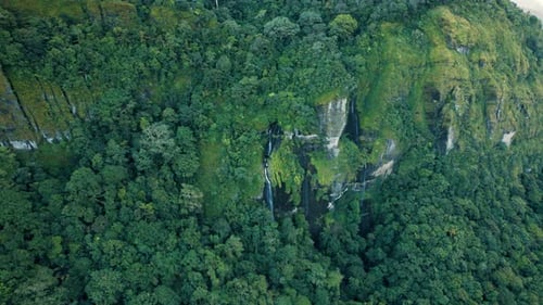 Aerial view of waterfalls and lush forest, Indonesia.