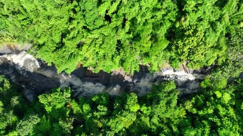 Aerial View of Waterfall Through Lush Green Forest