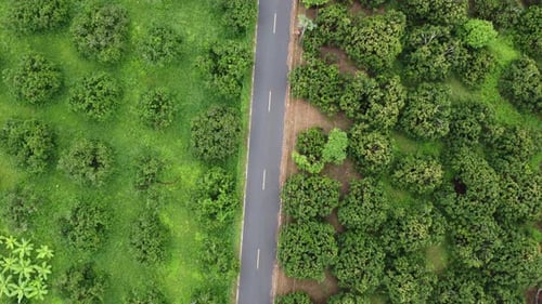 Aerial view of a rural asphalt road among beautiful green spaces. Natural landscape background.