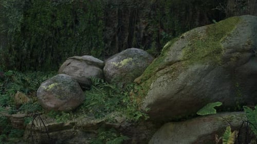 Slow Panning Shot Over Mossy Rocks and Lush Forest Greenery