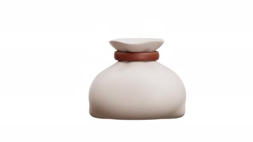 3D Animation Of Hotel Laundry Bag