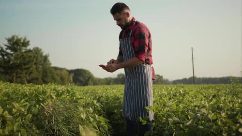 Attractive Farmer Uses a Phone on a Field Agronomist Activity Nature Agriculture Computer Digital