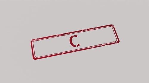 Grunge Stamped Rectangular Frame Reveal Animation