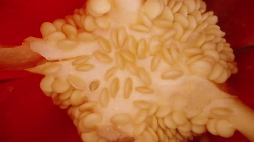 Red Bell Peppers on the table. One is cut and the camera is inside. Dolly slider extreme close-up.