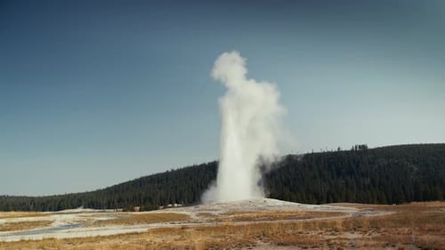 Incredible shot of Old Faithful in Yellowstone National park as it erupts.