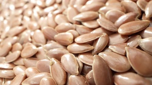 Close Up of Shiny Brown Flax Seeds