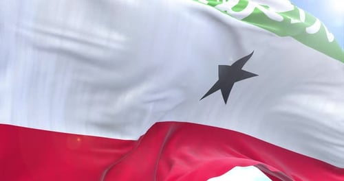 Realistic Waving National Flag Animation Loop