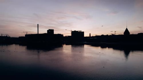 Harbor Birds And Building Silhouettes At Dusk