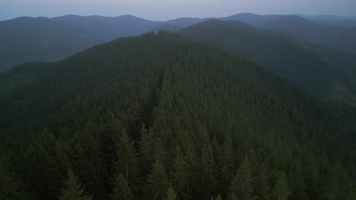 Flying Over Green Forest at Cloudy Day with the Mountains on Horizon with Glowing Clouds Carpathian
