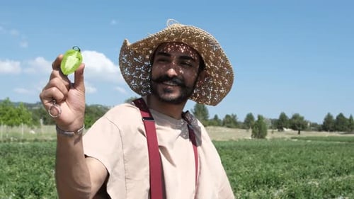 Green Tomatoes