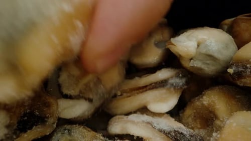 Frozen and cleaned mussels, I choose and take them one by one. Dolly slider extreme close-up.