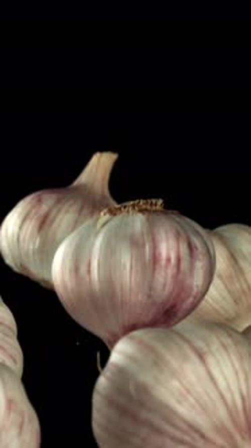 Garlic Fly Up and Fall Down on a Black Background Filmed on a Highspeed Camera at 1000 Fps