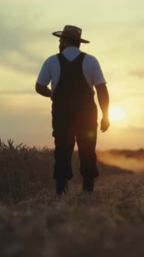 Farmer Walking Through Wheat Field at Sunset