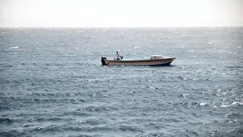 Colourful Tropical Coral Reefs. Picture of beautiful underwater colourful fishes and corals in the t