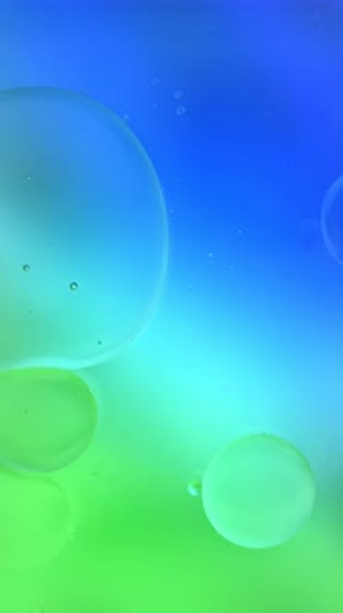 Organic Food Oil Bubbles on the Water Surface