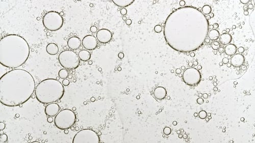 Translucent Bubbles Floating in Clear Liquid Close-Up