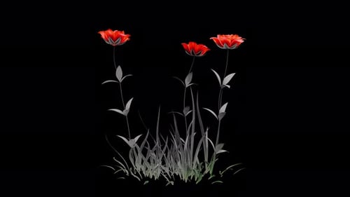 Realistic Red Flowers Blooming and Grass Growing Animation