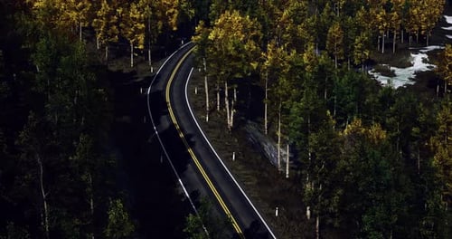 Estrada sinuosa entre árvores vibrantes de outono cercada por paisagens tranquilas