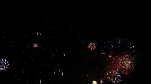 Hermosa celebración abstracta colorida exhibición de fuegos artificiales en el fondo nocturno