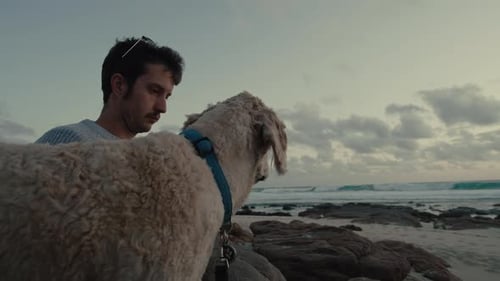 Man with dog enjoy sunset on beach