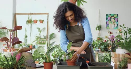 Une propriétaire d'un magasin de fleurs dans un tablier met de la terre fibreuse à la main et transplante une plante verte