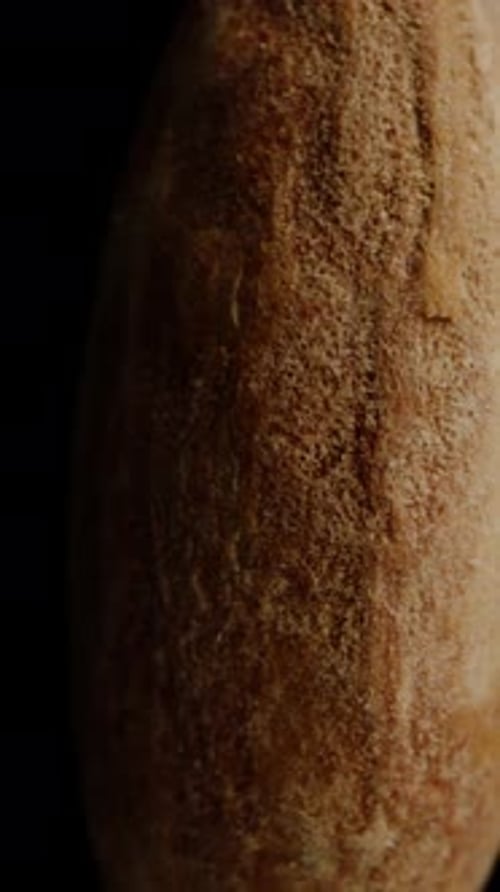 Vertical video. Super Slow Motion, Almond Nut Rotates and Falls Down on a Black Background, Isolated