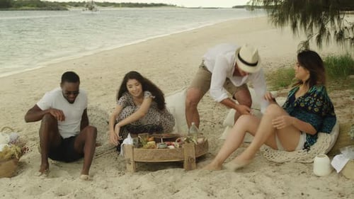 Group of Friends Sitting at a Picnic and Get Up and Walk