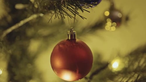 Close up of Christmas Tree and Ornaments