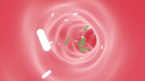 Anatomical 3D Animation of Digestive System and Microscopic Journey