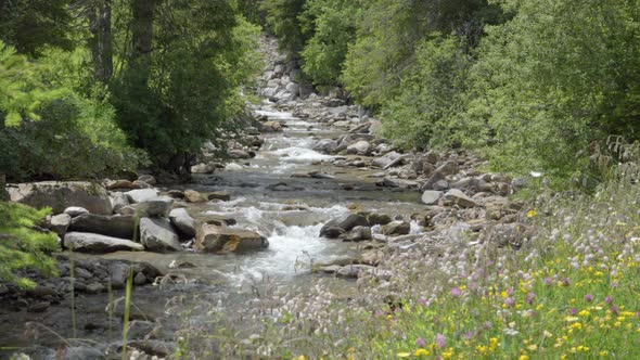 A mountain stream flows in a natural stream bed, Nature Stock Footage ...