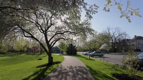 Walking Path Through Blooming Spring Park on Sunny Day