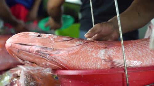 Fish on Scales at the Seafood Market