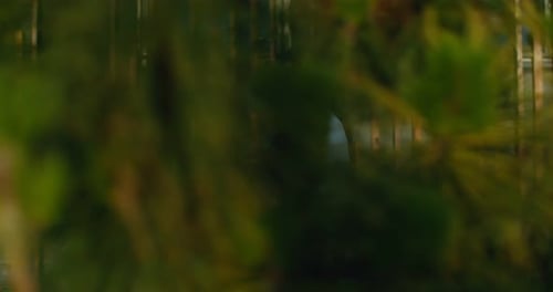 Side View on Elegant Woman in Sunglasses Walking Outdoor Carrying Coffee in Hand and Talking on