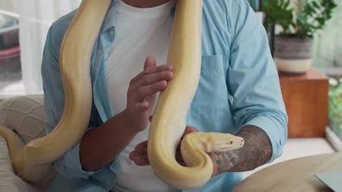 Homme multiethnique caressant et observant un serpent de compagnie jaune dans le salon