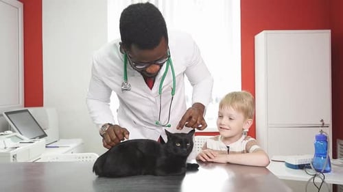 Veterinarian Examining Black Cat with Boy Watching