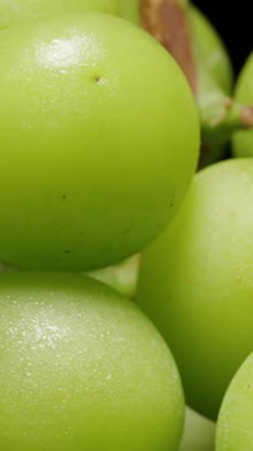 Vertical video. Extreme Macro Shot of Rotating Japanese Green Grapes Showing Surface Detail and Stem