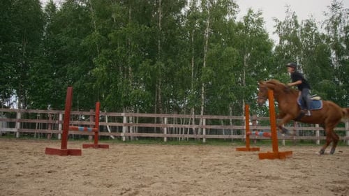 Jumping over Multiple Obstacles during Outdoor Horseback Riding Skills Practice