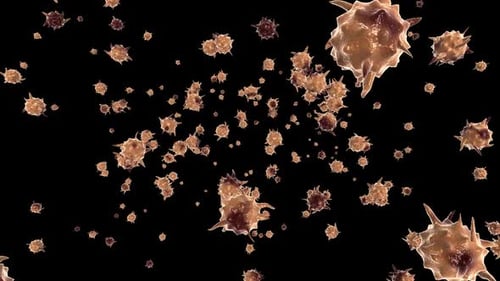 medical animation. The virus model is realistic.