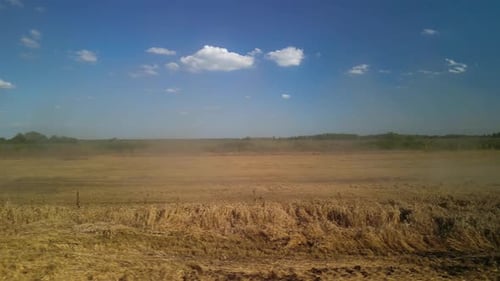 Wheat field aerial view in Ukraine