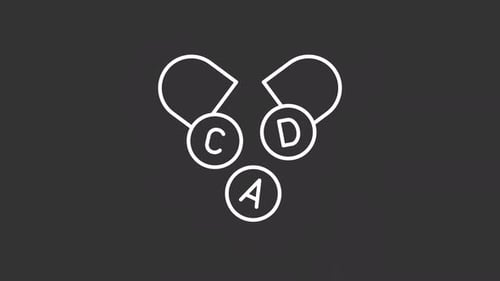 Animated Minimalist Capsule Opening Letter Reveal